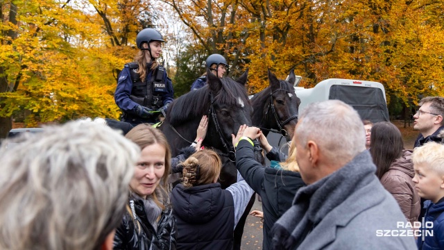 Fot. Robert Stachnik [Radio Szczecin] Policjanci na koniach patrolują Cmentarz Centralny [WIDEO, ZDJĘCIA]