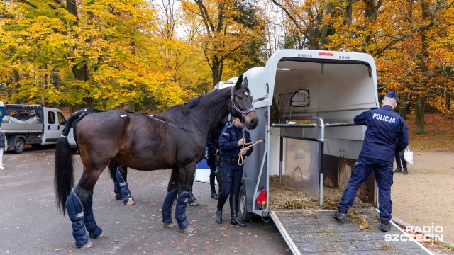 Fot. Robert Stachnik [Radio Szczecin] Policjanci na koniach patrolują Cmentarz Centralny [WIDEO, ZDJĘCIA]