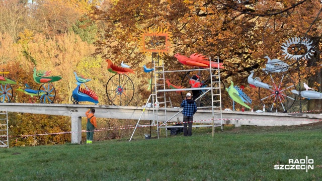 Fot. Robert Stachnik [Radio Szczecin] Ogniste Ptaki Hasiora w pełnej okazałości będzie można podziwiać za kilka dni [ZDJĘCIA]