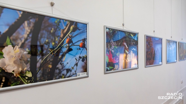 Fot. Robert Stachnik [Radio Szczecin] Jesień oczami seniorów. Niezwykła wystawa w INKU [ZDJĘCIA]