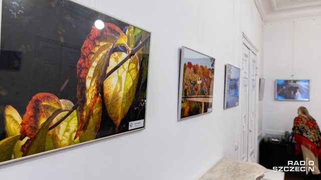 Fot. Robert Stachnik [Radio Szczecin] Jesień oczami seniorów. Niezwykła wystawa w INKU [ZDJĘCIA]