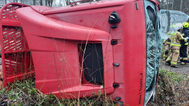 Fot. Facebook / Ochotnicza Straż Pożarna Marianowo Na leśnej drodze przewróciła się ciężarówka