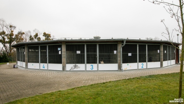 Fot. Weronika Łyczywek [Radio Szczecin] Trwają świąteczne zbiórki dla bezdomnych zwierząt [ZDJĘCIA]