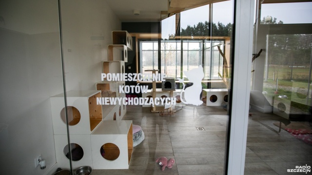 Fot. Weronika Łyczywek [Radio Szczecin] Trwają świąteczne zbiórki dla bezdomnych zwierząt [ZDJĘCIA]