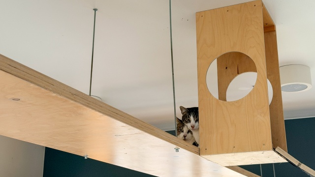 Fot. Weronika Łyczywek [Radio Szczecin] Trwają świąteczne zbiórki dla bezdomnych zwierząt [ZDJĘCIA]