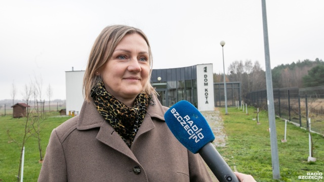 Fot. Weronika Łyczywek [Radio Szczecin] Trwają świąteczne zbiórki dla bezdomnych zwierząt [ZDJĘCIA]