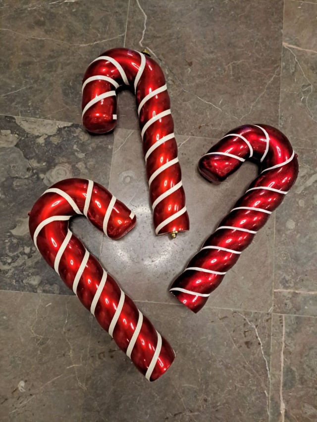 Mat. UM Szczecin Nowa miejska choinka ograbiona