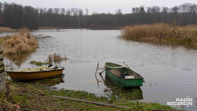 Fot. Robert Stachnik [Radio Szczecin] Karp króluje na szczecińskich stołach [WIDEO, ZDJĘCIA]