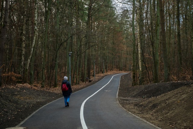 Mat. UM Szczecin Nowa droga w Lesie Arkońskim [ZDJĘCIA]