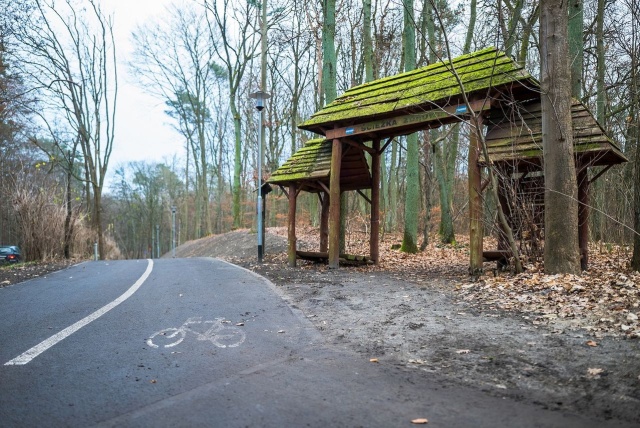 Mat. UM Szczecin Nowa droga w Lesie Arkońskim [ZDJĘCIA]