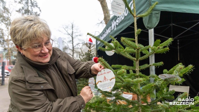 Fot. Robert Stachnik [Radio Szczecin] "Własną krwią zdobyte" [ZDJĘCIA]