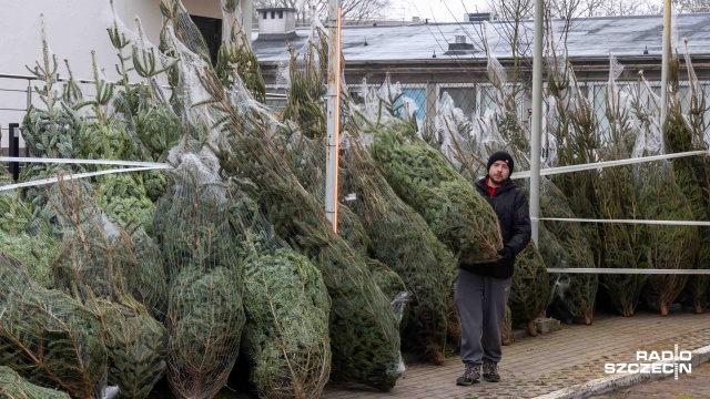 Fot. Robert Stachnik [Radio Szczecin] "Własną krwią zdobyte" [ZDJĘCIA]