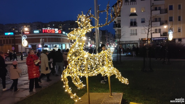 Fot. Przemysław Polanin [Radio Szczecin] W tym roku w Kołobrzegu królują renifery [ZDJĘCIA]
