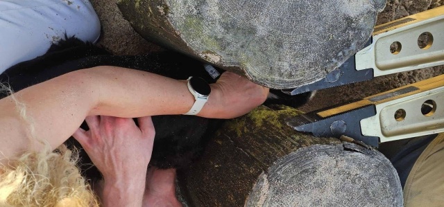 Niecodzienne zadanie strażaków-ochotników z Ustronia Morskiego. Podczas długiego weekendu pomogli psu, który zaklinował się pomiędzy elementami... falochronu.