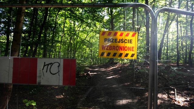 Biegacze i rowerzyści odbijają się od płotu, który stanął na ścieżce spacerowej w szczecińskim Lesie Arkońskim. Na odcinku między jeziorem Goplana a ulicą Miodową rozpoczął się remont ścieżki.