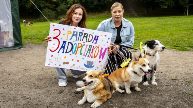 Pierwsza pomoc dla psów, konsultacje z weterynarzem czy Parada Adopciaków. To tylko część atrakcji na Targach Merda Ogon w Stargardzie. Przy Młodzieżowym Domu Kultury wraz ze swoim czworonogiem można wziąć udział w warsztatach i prelekcjach.