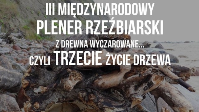 Z drewna wyczarowane... czyli trzecie życie drzewa - pod takim hasłem odbędzie się III Międzynarodowy Plener Rzeźbiarski.