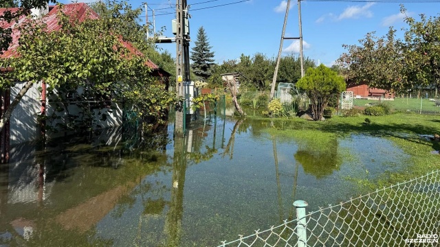Mieszkańcy regionu nadal walczą ze skutkami nocnej ulewy [ZDJĘCIA]