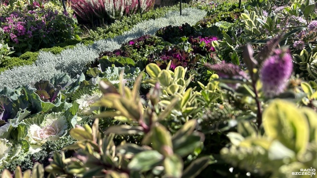 Po piątkowym otwarciu Targi Agro Pomerania rozpoczynają dzień drugi.