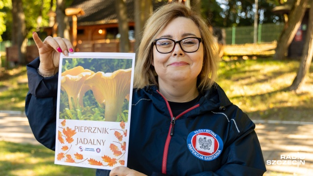 Zebrany czy kupiony, grzyby warto sprawdzić u ekspertów [ZDJĘCIA]