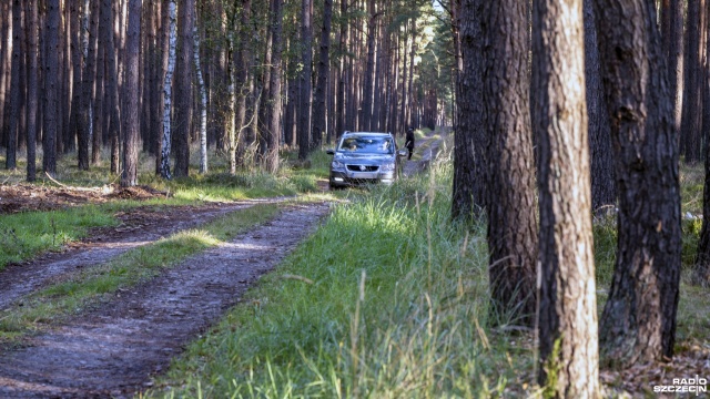 Coraz więcej grzybów, coraz więcej grzybiarzy... Leśnicy zwracają jednak uwagę, że część osób nie potrafi zachować leśnego savoir-vivre039u i np. wjeżdża samochodem do lasu.