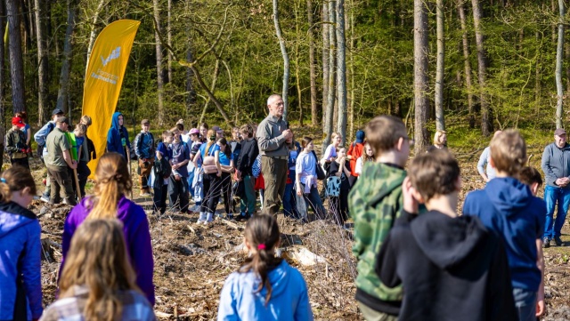 16 tysięcy młodych drzew posadzą uczniowie podstawówek z zachodniopomorskiego. Akcja rusza w poniedziałek i potrwa do czwartku.