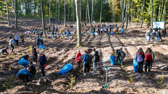 Półtora tysiąca młodych sadzonek buków posadziła młodzież ze Szczecina i okolicznych szkół w lasach Nadleśnictwa Trzebież, niedaleko wsi Siedlice.