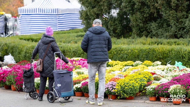 Za tydzień 1 listopada, czyli Dzień Wszystkich Świętych. Jak co roku, przed szczecińskimi cmentarzami, będzie można kupić kwiaty i znicze.