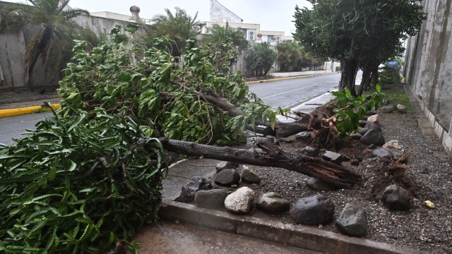 25 osób poniosło śmierć na Haiti na skutek podtopień spowodowanych huraganem Melissa, który od kilku dni nęka Karaiby - poinformował w środę mer miasta Petit-Goave na południu kraju, Jean Bertrand Subreme.