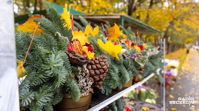 W okresie Wszystkich Świętych Lasy Państwowe w całym kraju zaostrzyły kontrole, by walczyć z nielegalną wycinką gałązek i drzewek, które później wykorzystywane są m.in. na stroiki.