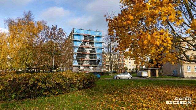 Włochaty koci celebryta ze Szczecina, o którym rozpisywały się - także światowe - media i został uznany za największą atrakcję miasta doczekał się ekomuralu.