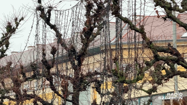 300 tys. złotych na świąteczne iluminacje w Szczecinie [ZDJĘCIA]