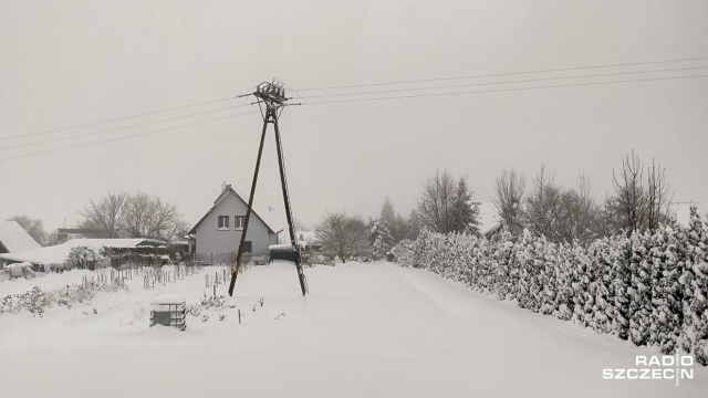 Prawie 135 tysięcy odbiorców na Podkarpaciu nie ma prądu. Mokry, ciężki śnieg, ale także powalone drzewa i połamane konary uszkadzają kolejne linie energetyczne.