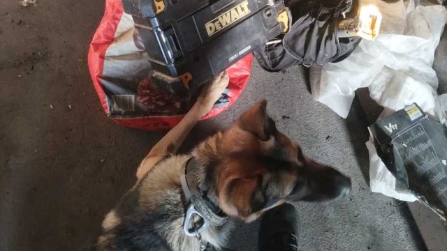 Policyjny pies pomógł w odzyskaniu skradzionych elektronarzędzi wartych kilkanaście tysięcy złotych.