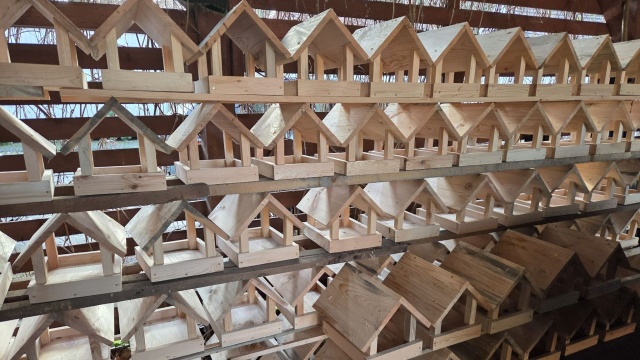 Odbierz karmnik, pomóż ptakom - z taką inicjatywą wychodzą Lasy Miejskie w Szczecinie.