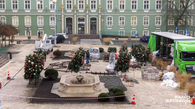 Ma ponad 16 metrów wysokości, przyozdabia ją ponad trzydzieści tysięcy świecących ozdób i kosztowała miasto ponad ćwierć miliona złotych.