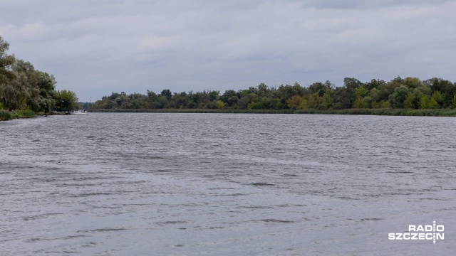 Odra nie jest zagrożona po wycieku ropy w Niemczech. W środę w okolicach miejscowości Gramzow podczas prac jeden z zaworów się rozszczelnił. Według najnowszych szacunków z rurociągu mogło wypłynąć nawet 350 tysięcy litrów ropy naftowej.