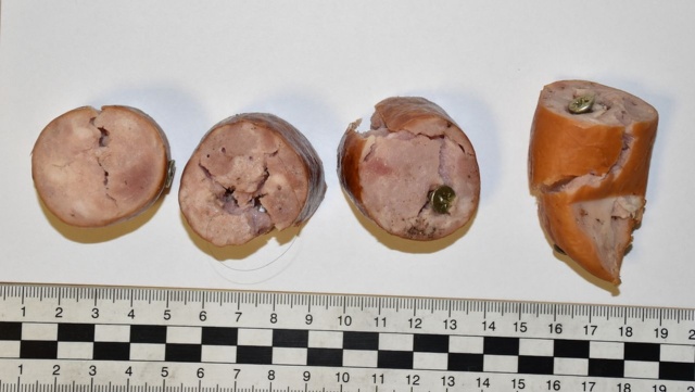 Rozrzucał na osiedlu kiełbasę z gwoździami - usłyszał zarzuty.