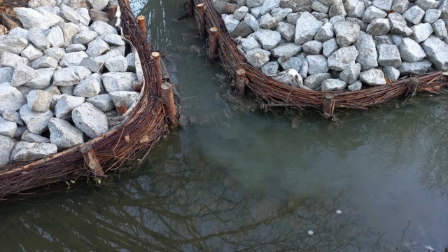 To powtórka z rozrywki - mówią przedstawiciele Wód Polskich w Szczecinie. Ponownie doszło do zanieczyszczenia rzeki Bukowej na wysokości Jeziorka Słonecznego.