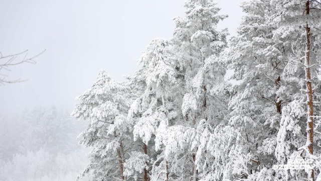 W niedzielę 21 grudnia Słońce znajdzie się w takiej pozycji, że przekroczy punkt przesilenia zimowego, co będzie oznaczało nastąpienie nowej pory roku: astronomicznej zimy. Szybko zapadające ciemności to okazja spojrzenia w gwiazdy.