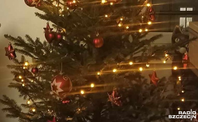 Każdego roku służby miejskie odbierają choinki od 2 stycznia do końca marca.