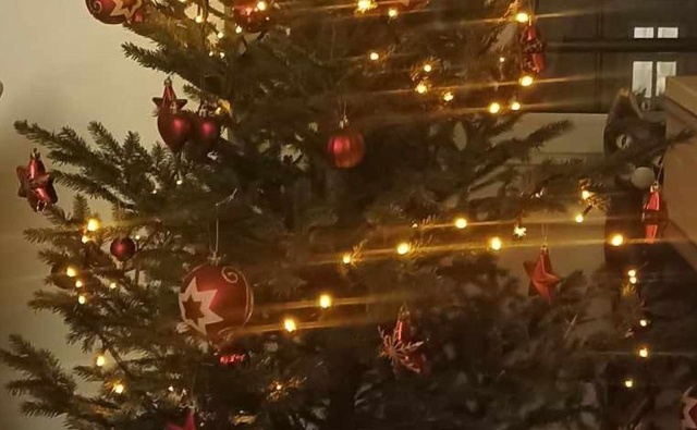 Każdego roku służby miejskie odbierają choinki od 2 stycznia do końca marca.