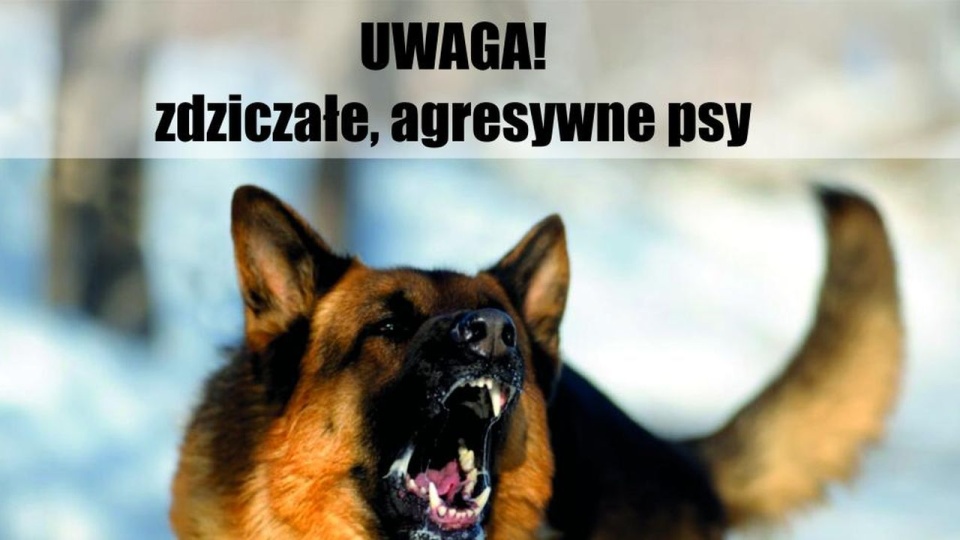 Władze gminy apelują o ostrożność. źródło: https://www.polczyn-zdroj.pl/news/uwaga-5