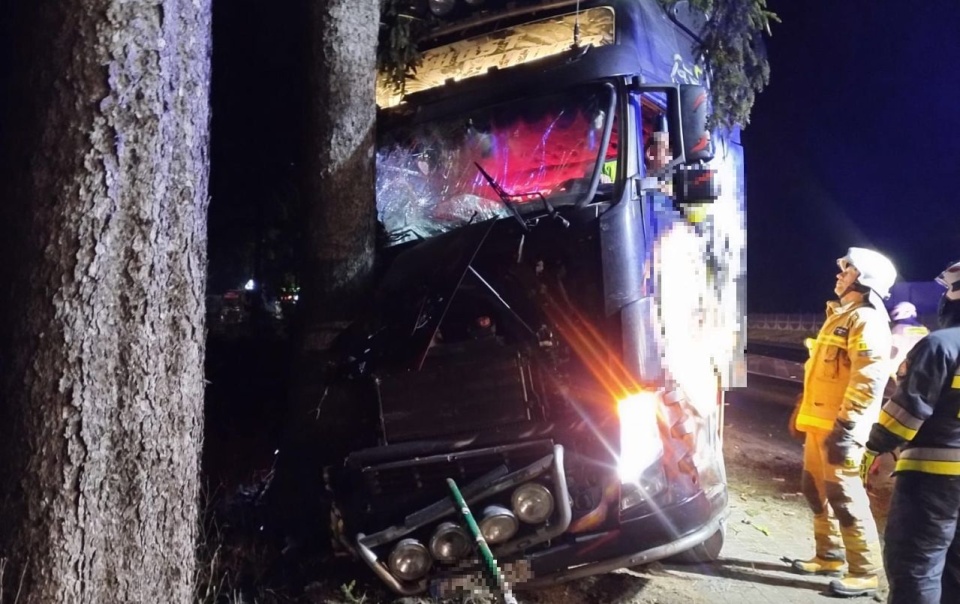 Źródło: FB/OSP Szwecja