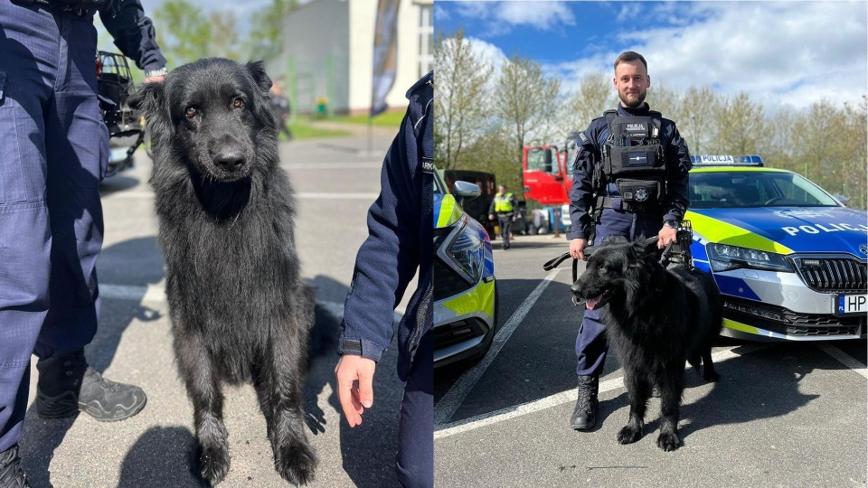 Fot. Komenda Powiatowa Policji w Pyrzycach