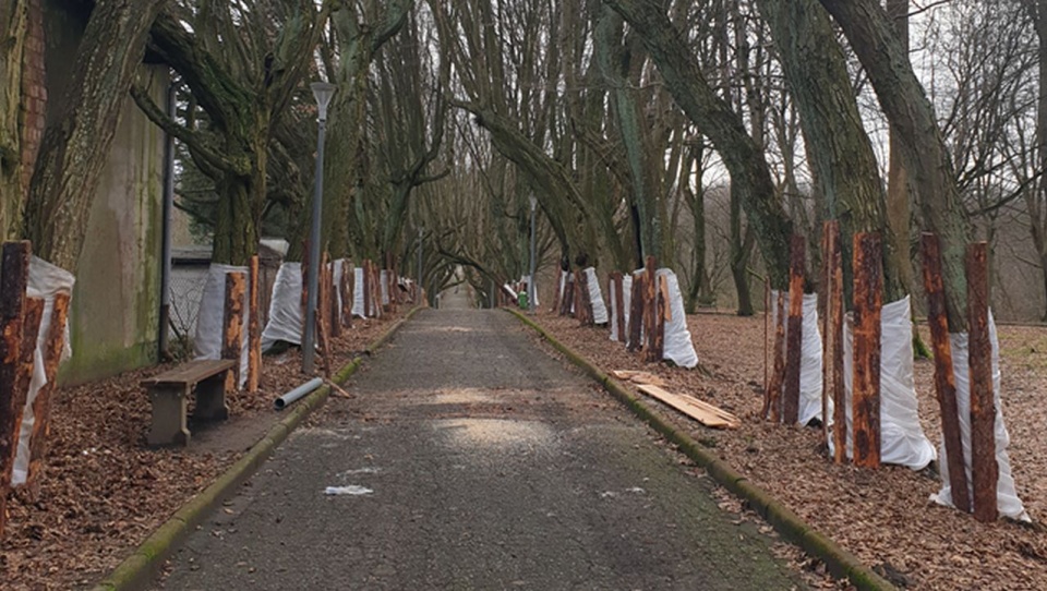 fot. Urząd Miejski w Złocieńcu