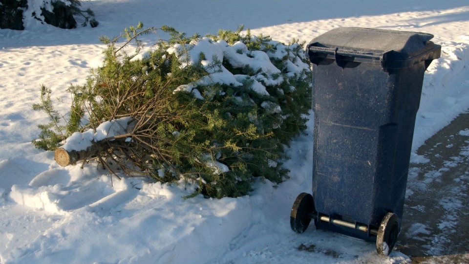 fot. https://stargard.eu/aktualnosci/pozegnanie-z-choinkami/