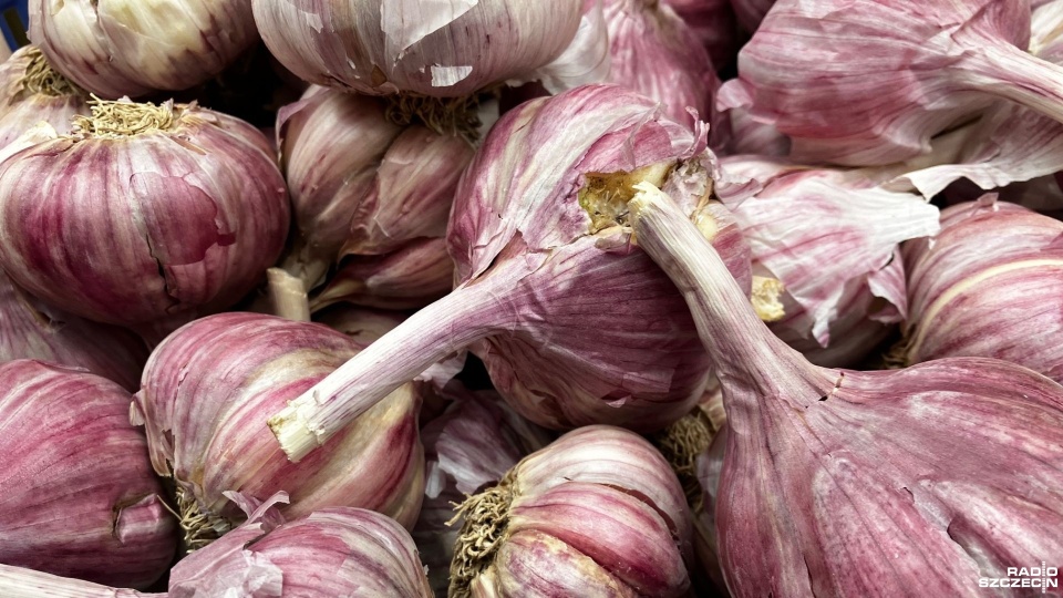 Fot. Joanna Maraszek [Radio Szczecin]