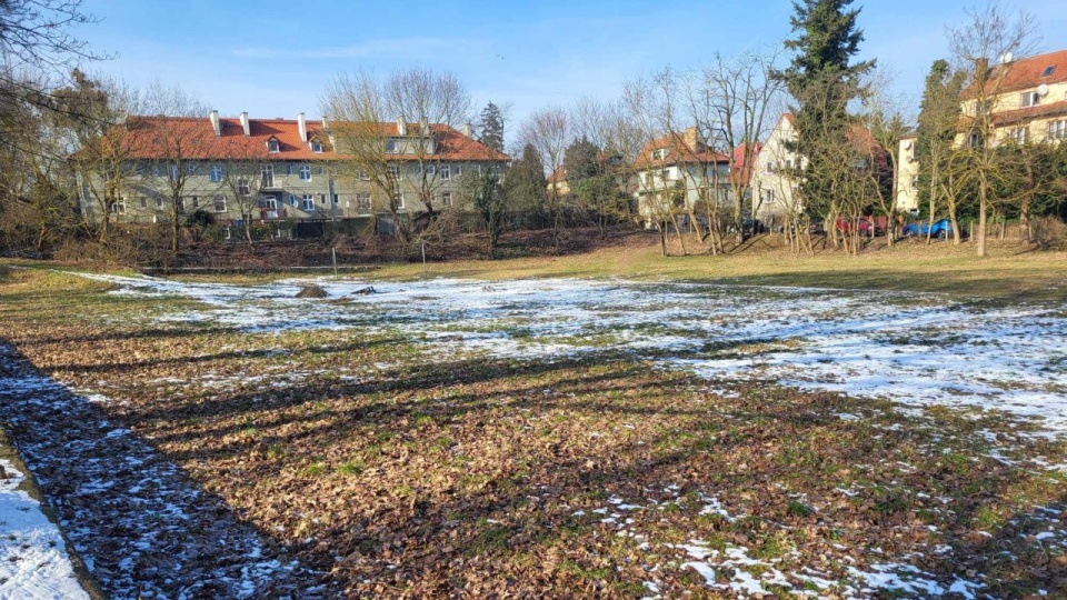 Fot. UM Szczecin