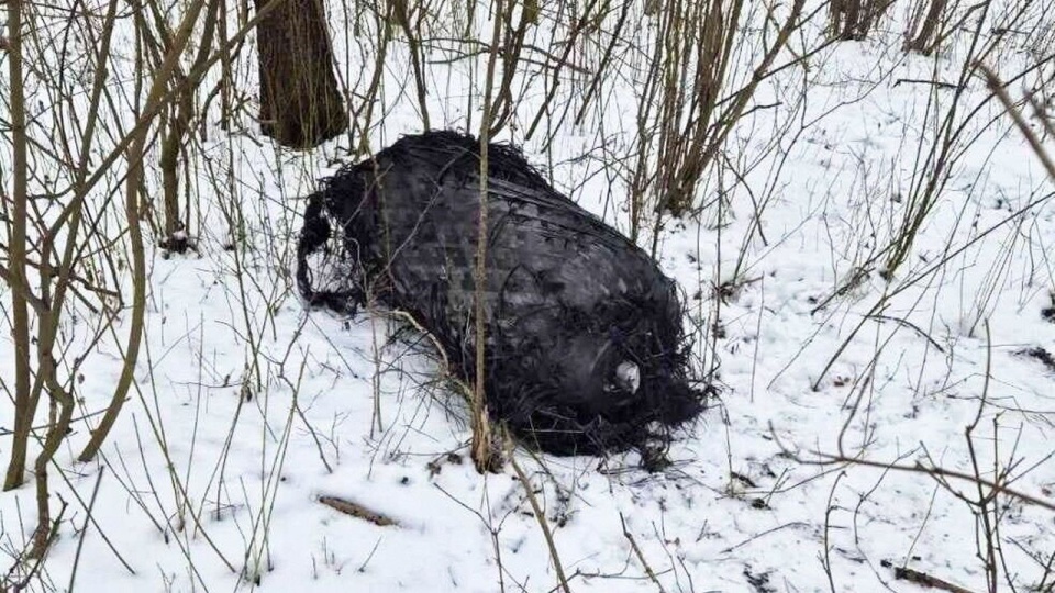 Człon rakiety o masie ok. 4 ton pochodzi z misji SpaceX Starlink Group 11-4, która 1 lutego wystartowała z bazy lotniczej w Kalifornii. PAP/Państwowa Straż Pożarna